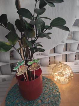 Vollstickdatei Glocken mit Ilex